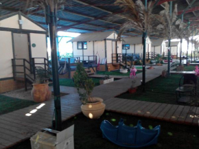 Adam's Farm